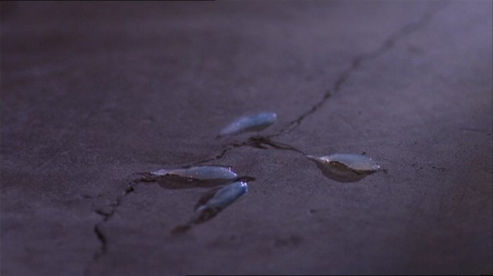 Datei:SG1 3x04 4.jpg