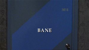 Insekten des Todes.jpg