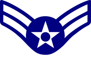 USAF AM1.svg