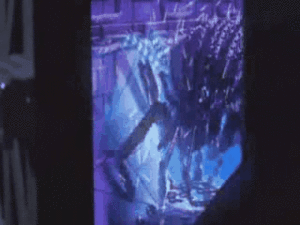 SG1 Fx01 Repliqueen.gif