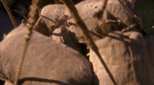 SGA 3x13 Körperschild.gif