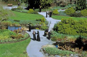 SG1-2x04 P7J-989-2.jpg