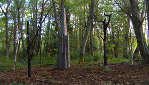 Auge-der-Götter 9x18.jpg