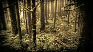 Planet (SGU 2x16).jpg