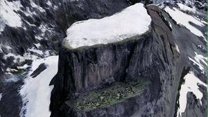 Ortus mallus oben.jpg