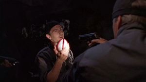 Asgard-Personentarnvorrichtung 4.jpg