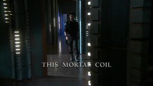 SGA 4x10.jpg