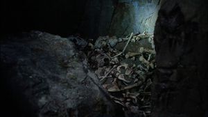 SGU 2x16 Knochen.jpg