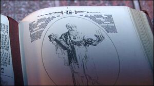 Merlins-pendel 9x20.jpg