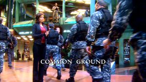 Ein ungewöhnlicher Verbündeter.jpg