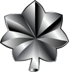 Lieutenant Colonel