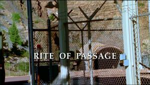 Das Übergangsritual.jpg